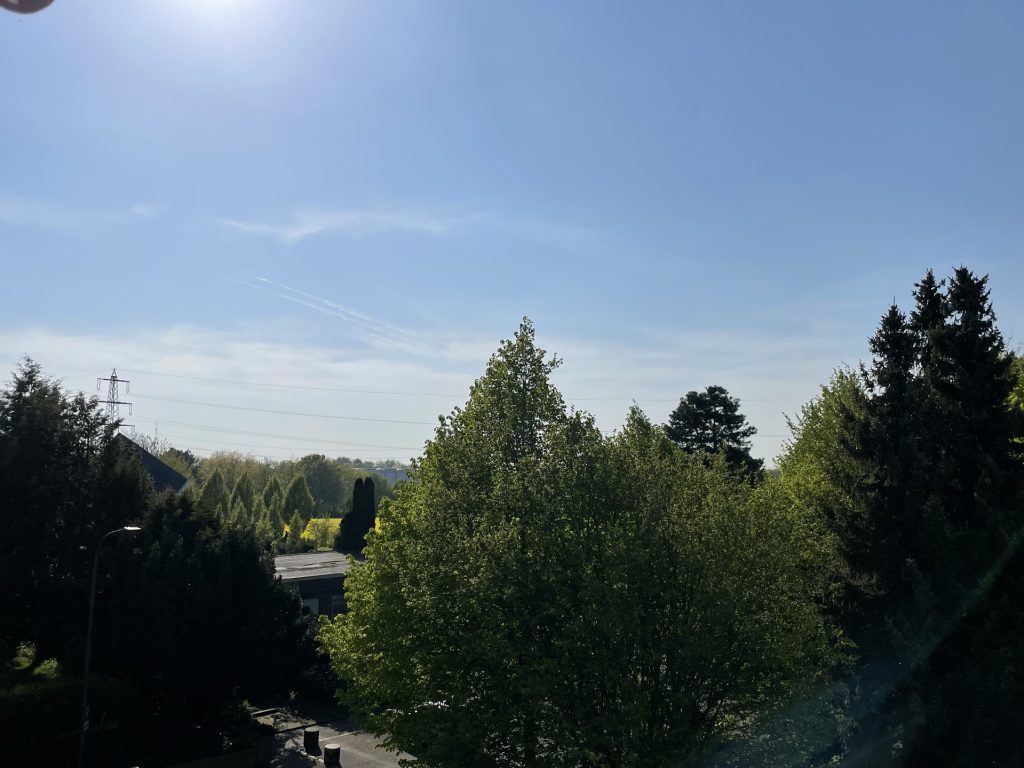 Foto der Immobilie (87663)