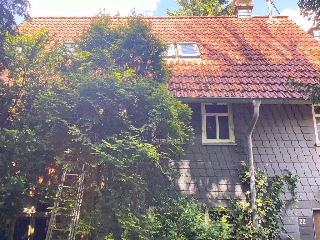 12-bearbeitet