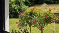 Küchenausblick auf die Terrasse
