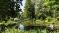 Teich im Garten