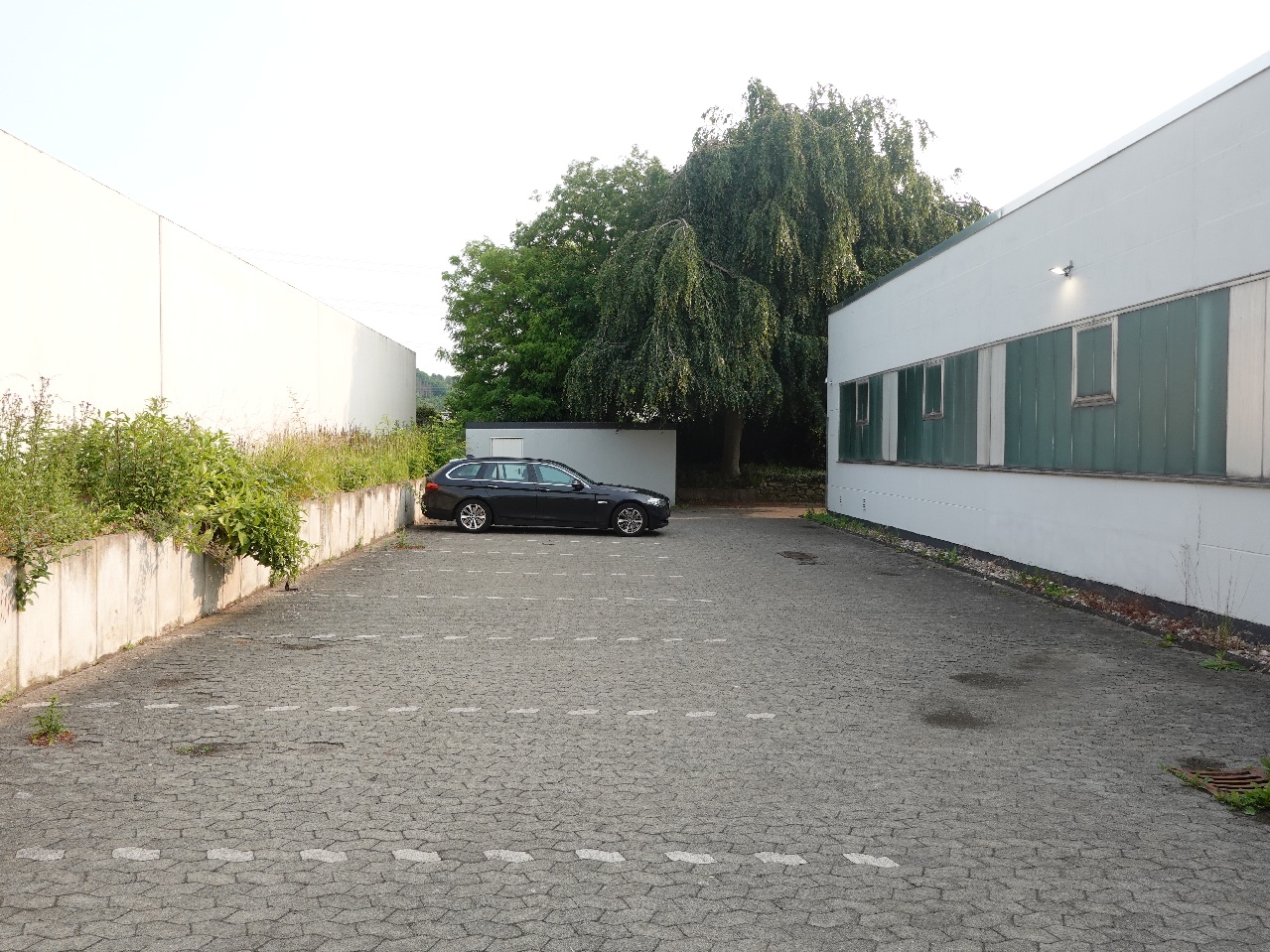 Bis zu 12 Parkplätze + Garage