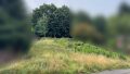 Foto der Immobilie (93010)