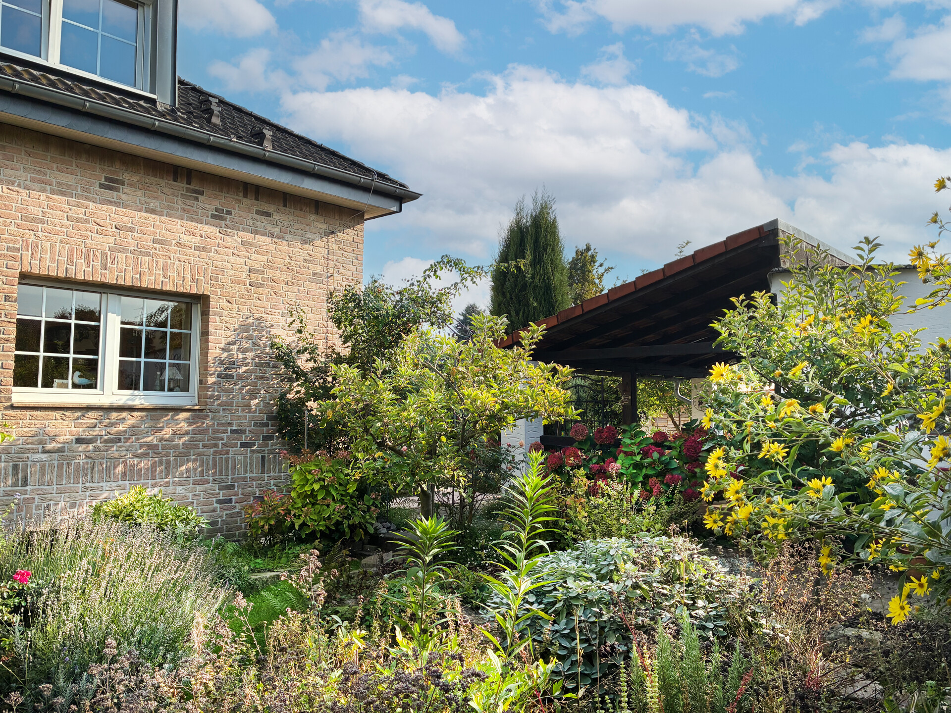 Foto der Immobilie (101949)