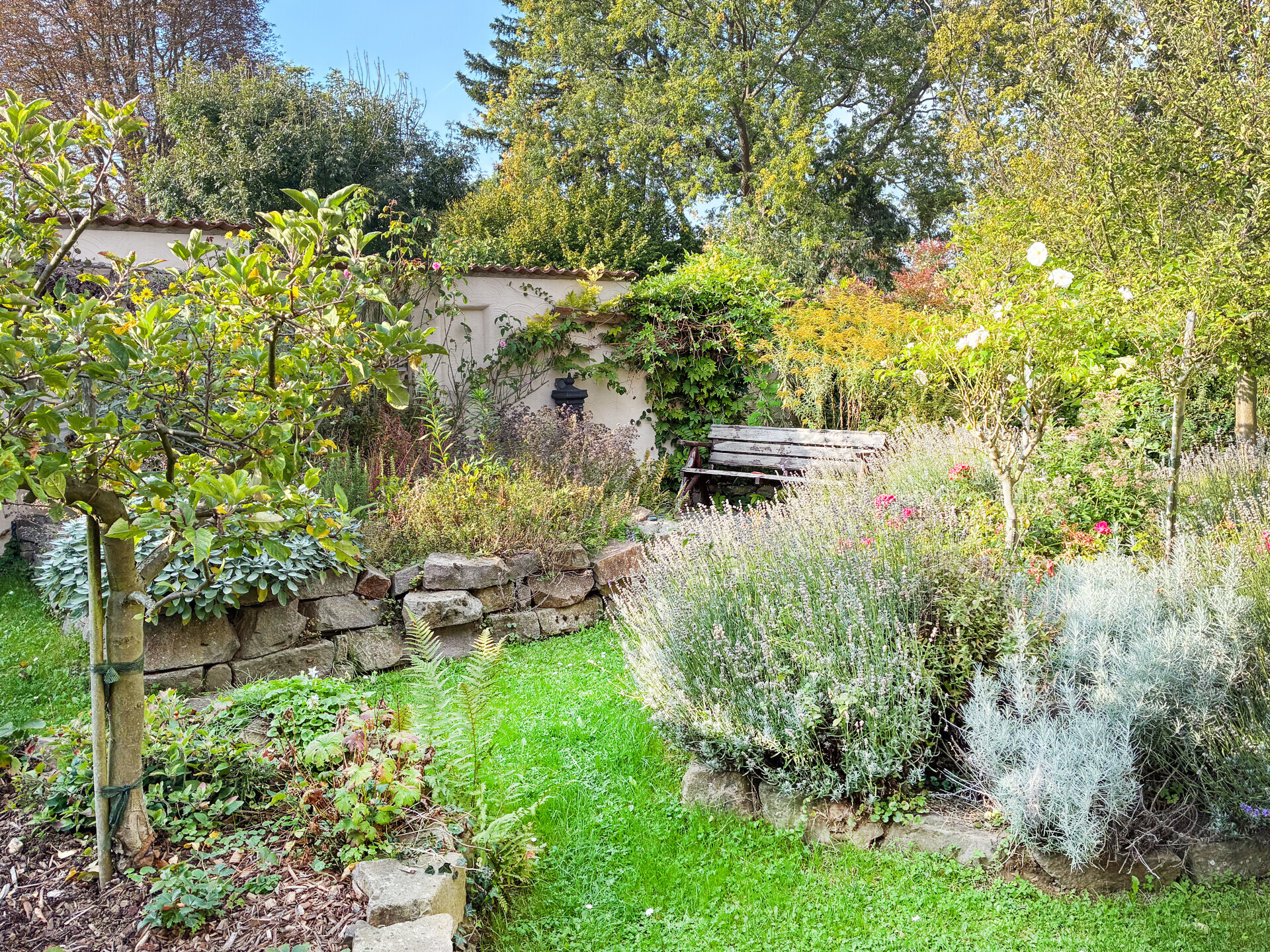 Foto der Immobilie (101950)