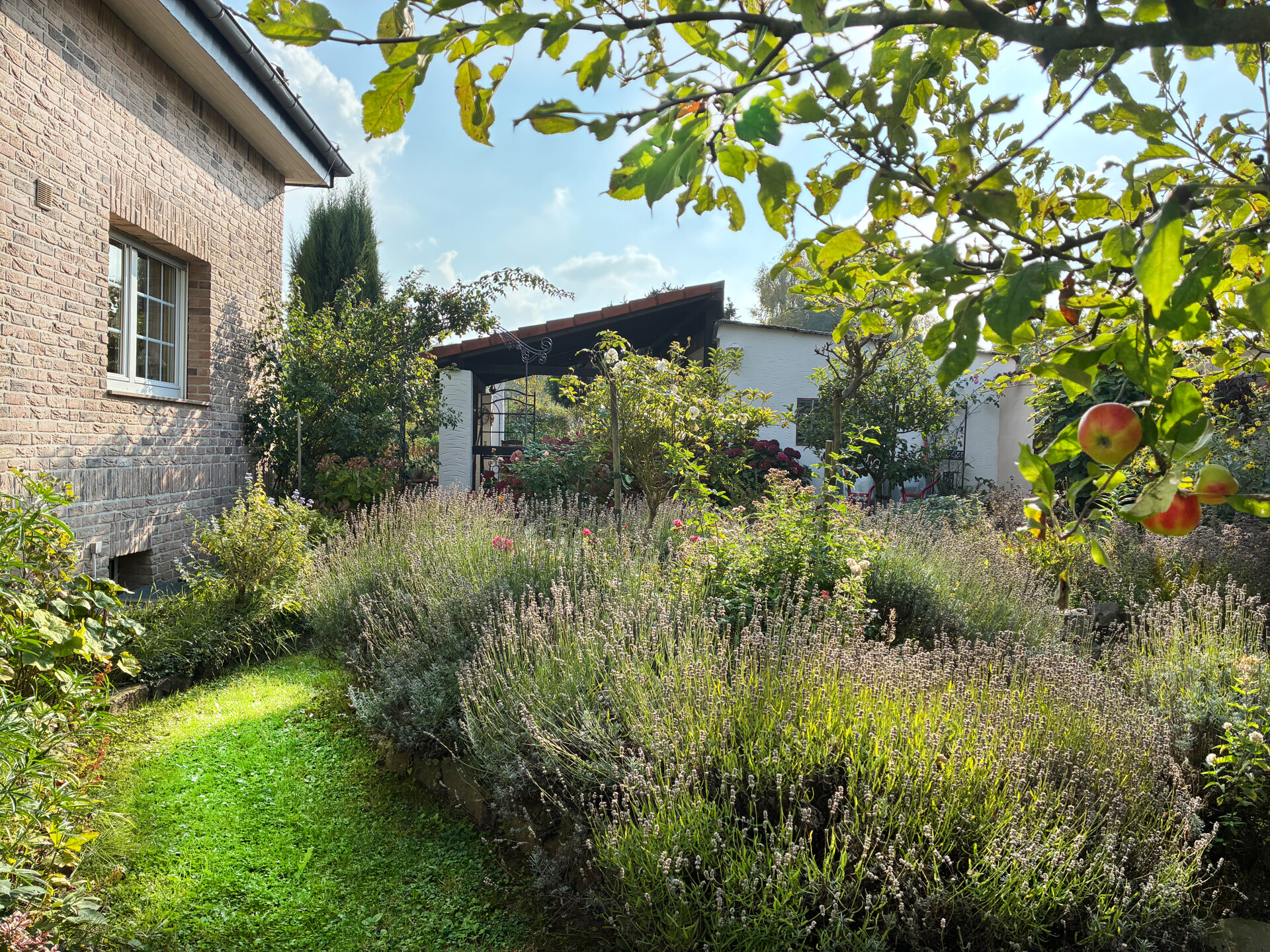 Foto der Immobilie (101951)