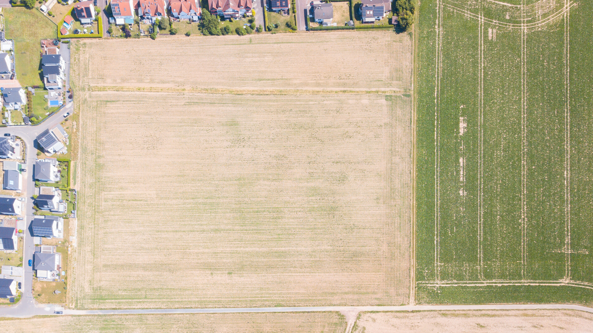 Foto der Immobilie (104554)