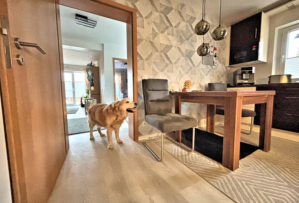 Foto der Immobilie (117826)