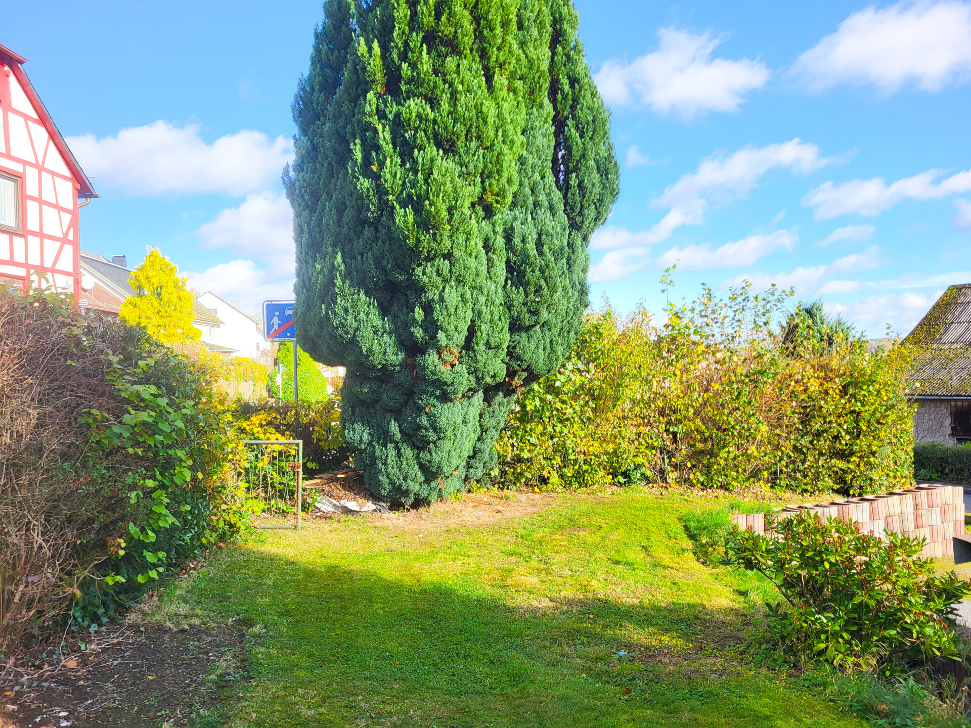 Garten vor dem Haus