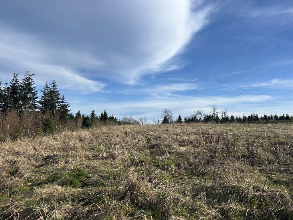 Unverbaubare Naturlage