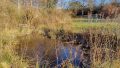 Gartenteich