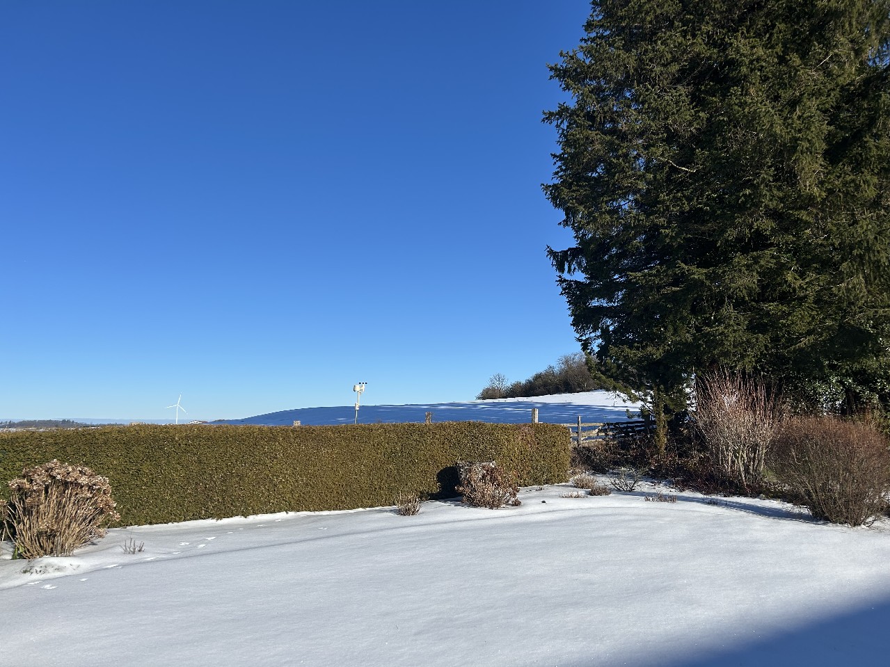 Impression Winter
