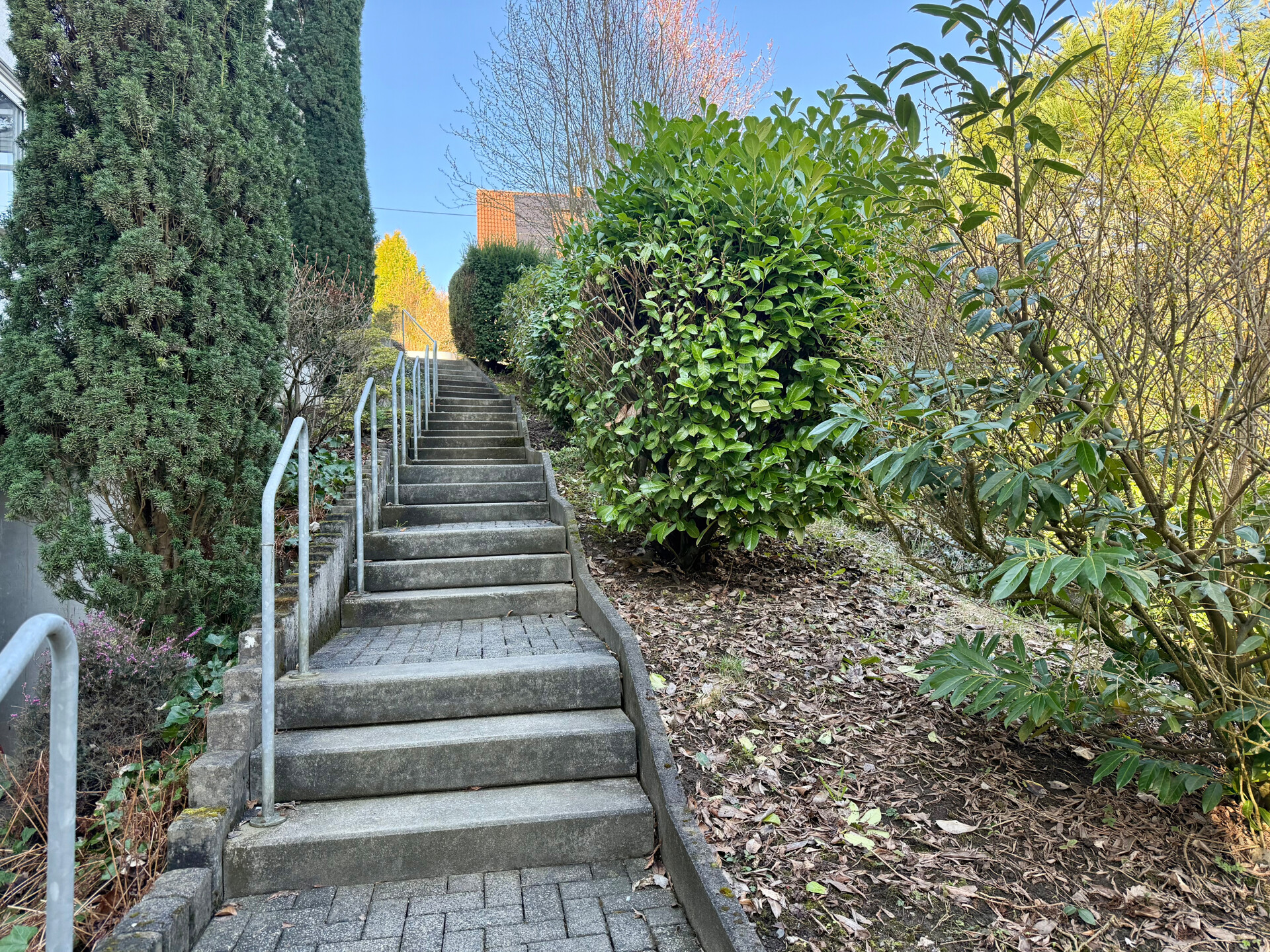 Treppenaufgang