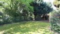 Blick in den Garten