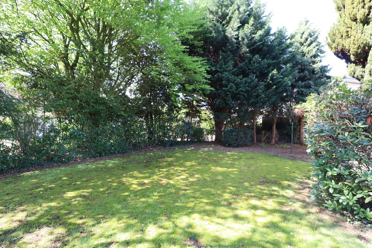 Blick in den Garten