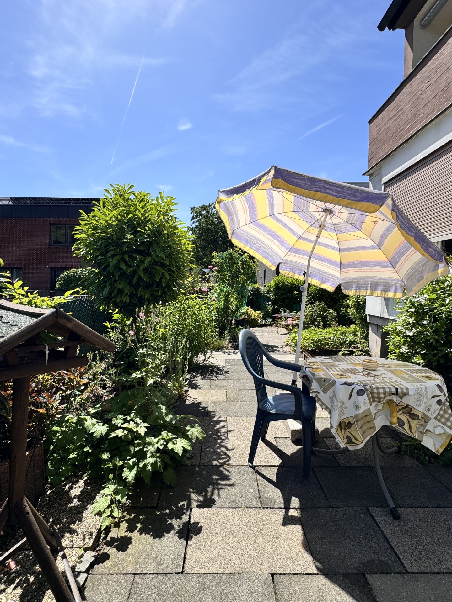 Altbau - Terrasse EG