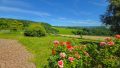 Ausblick