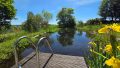 Teich