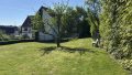 Wiese