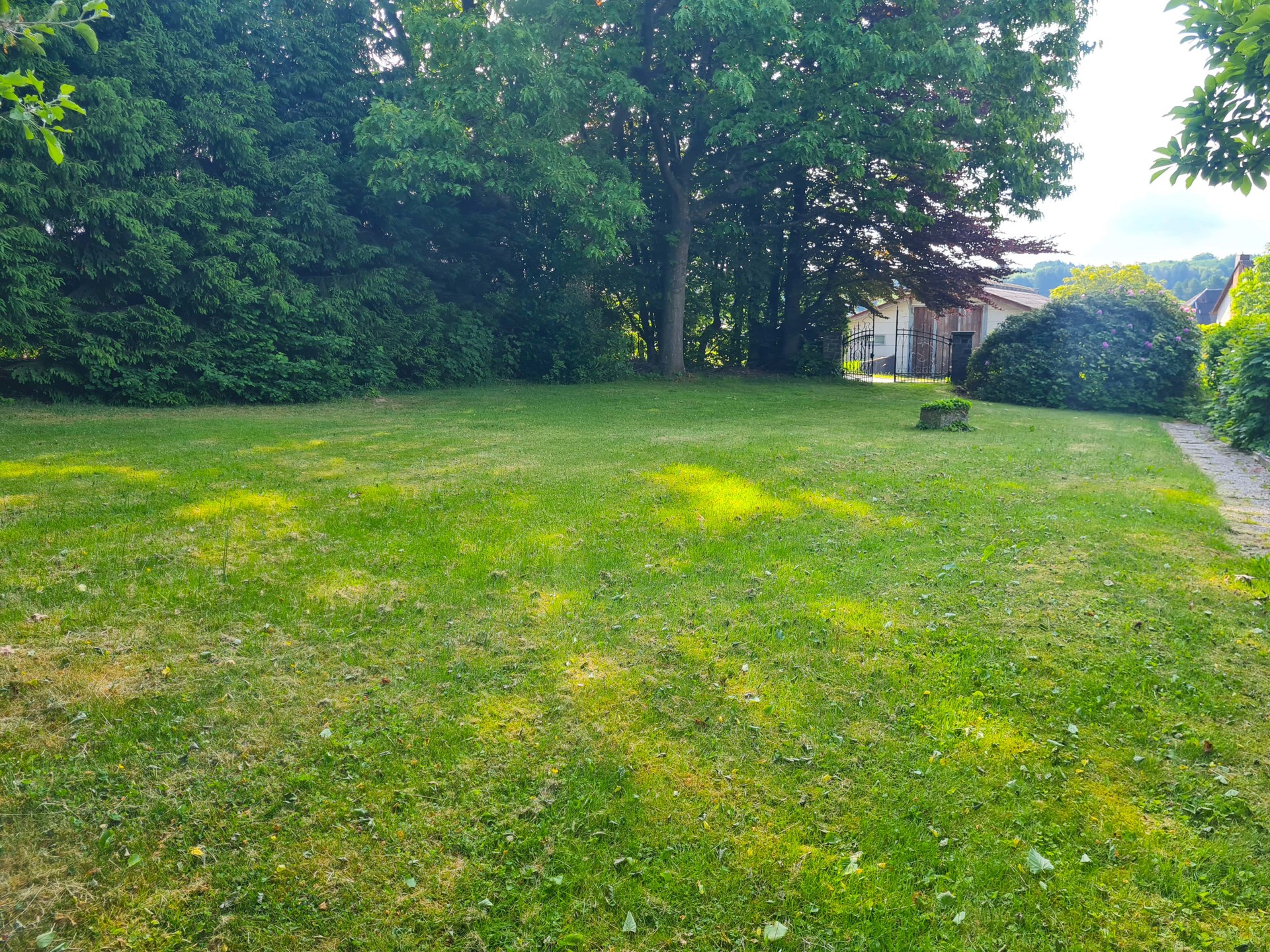Blick ins Grüne