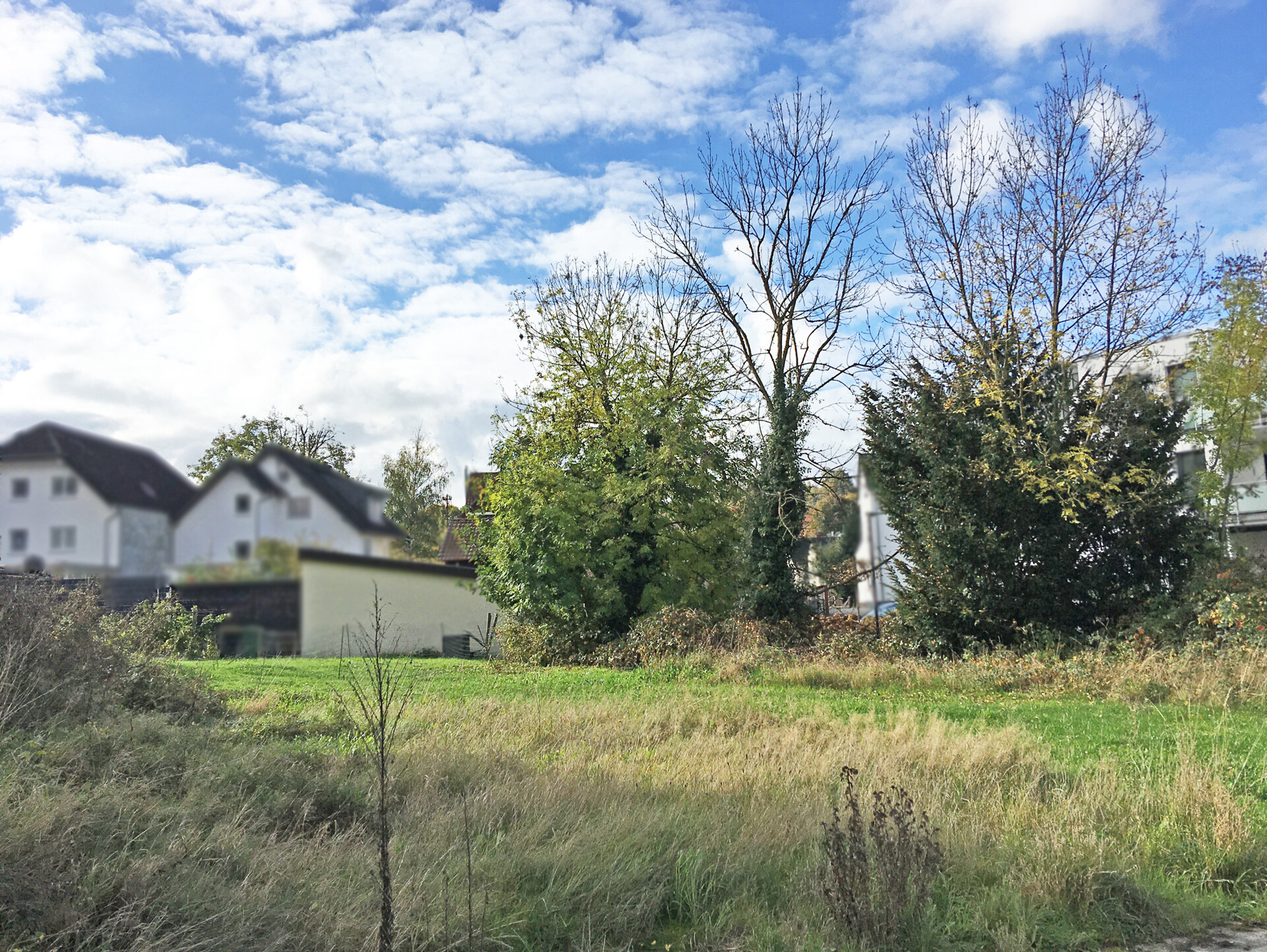 Ansicht