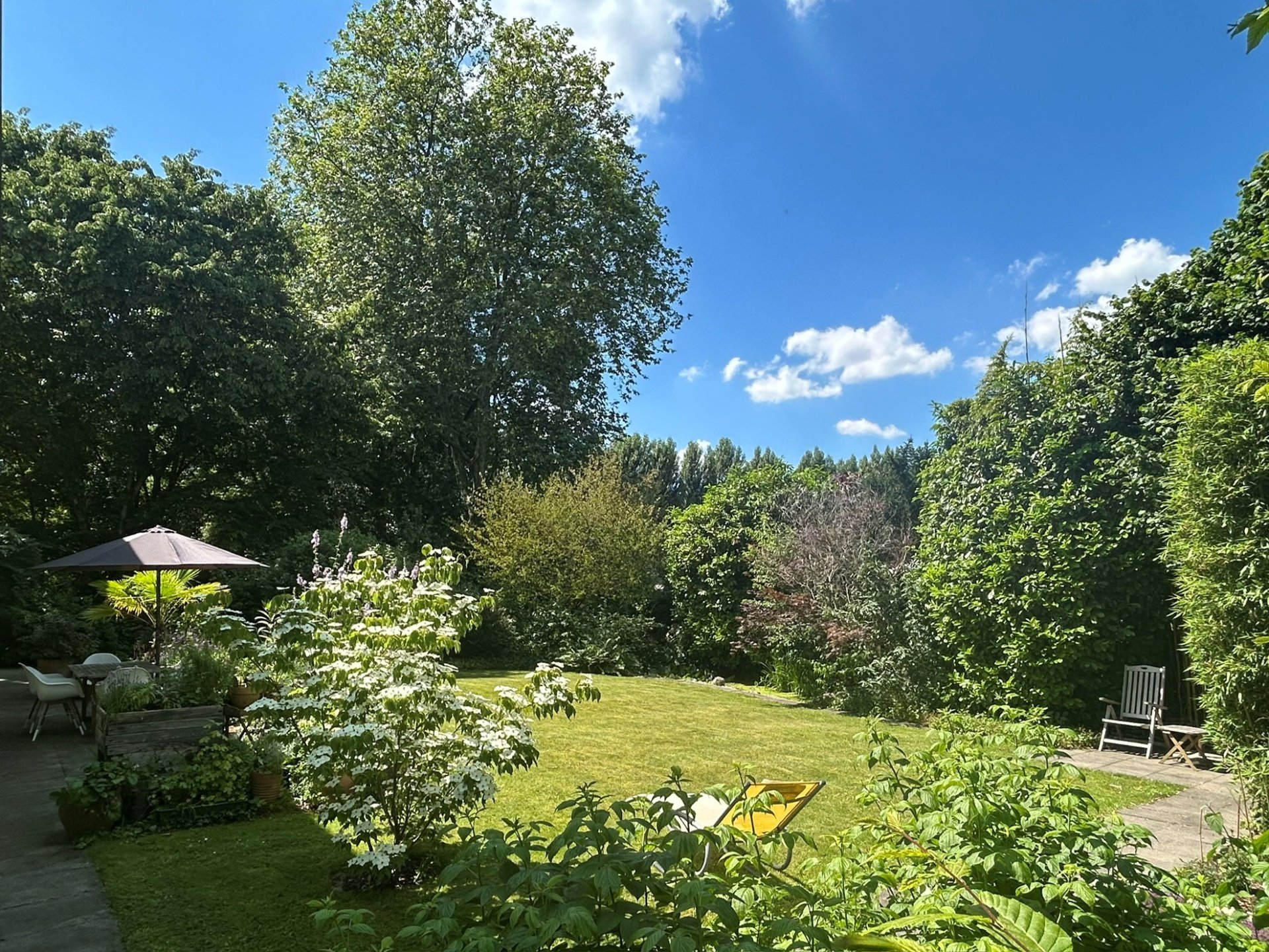 Blick in den Garten