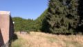 Wiese hinter dem Haus