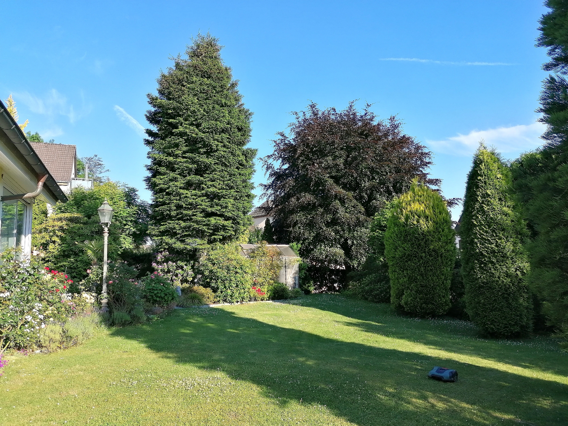 Blick in den Garten