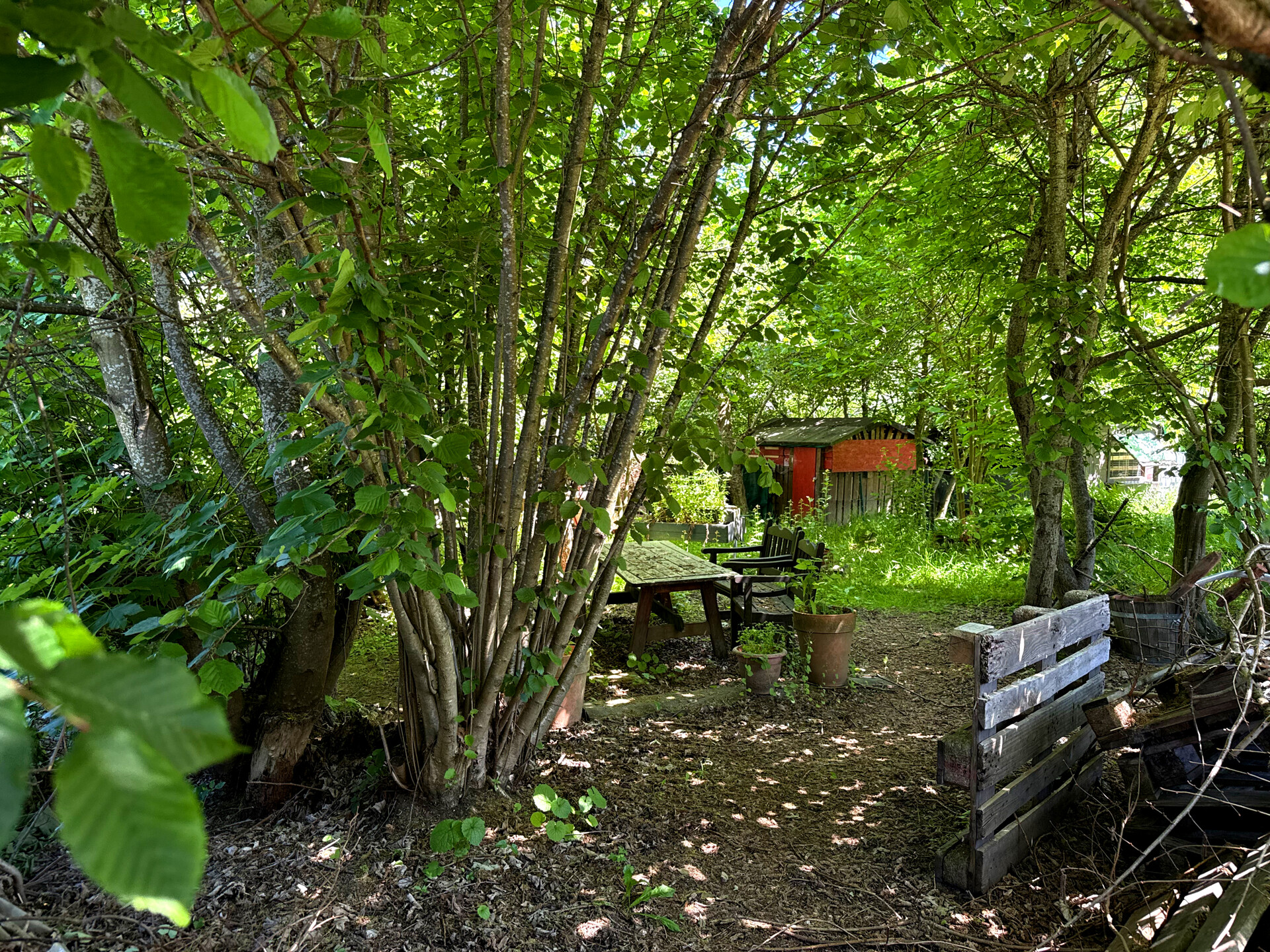Gartengrundstück