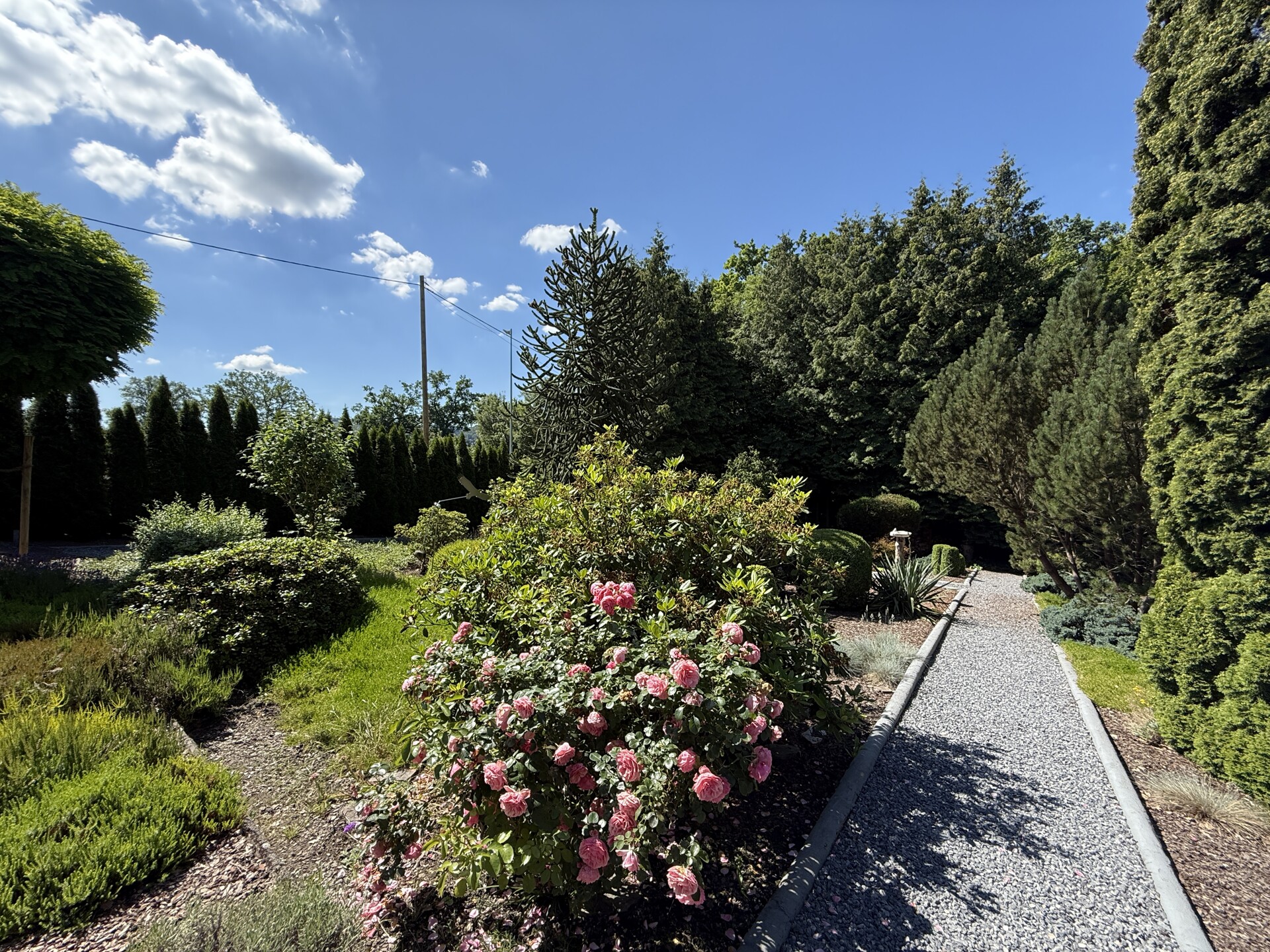 Garten