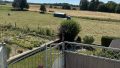 Terrasse und Abgang Garten DG