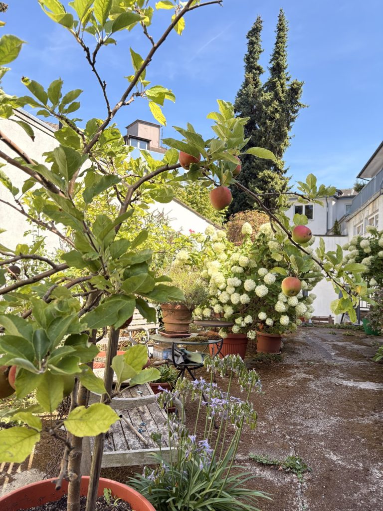 Gemeinschaftsgarten
