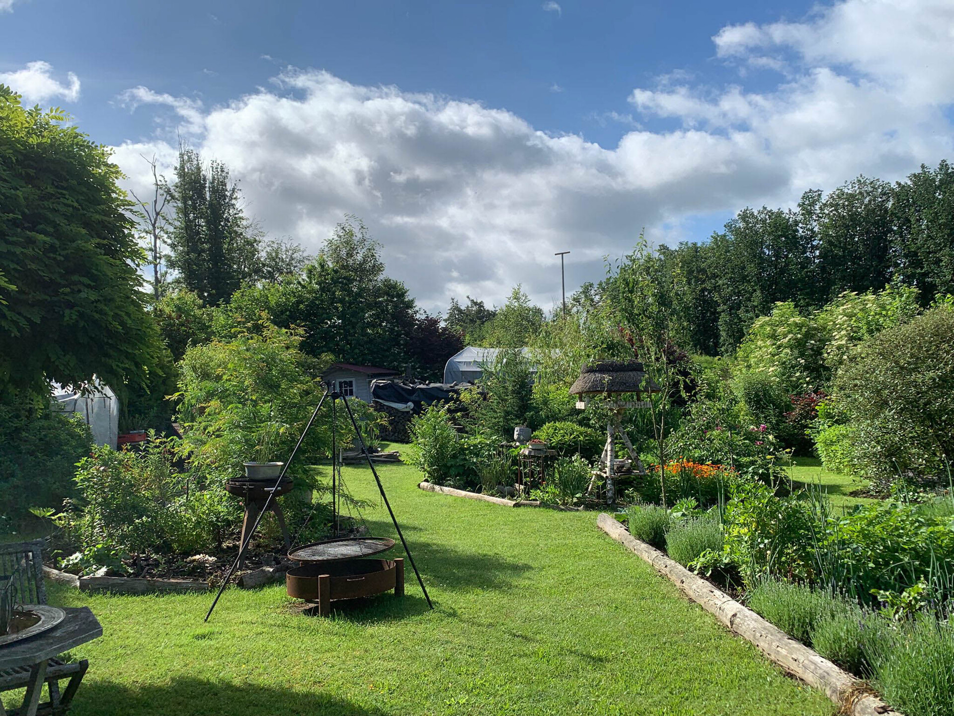Blick in den Garten