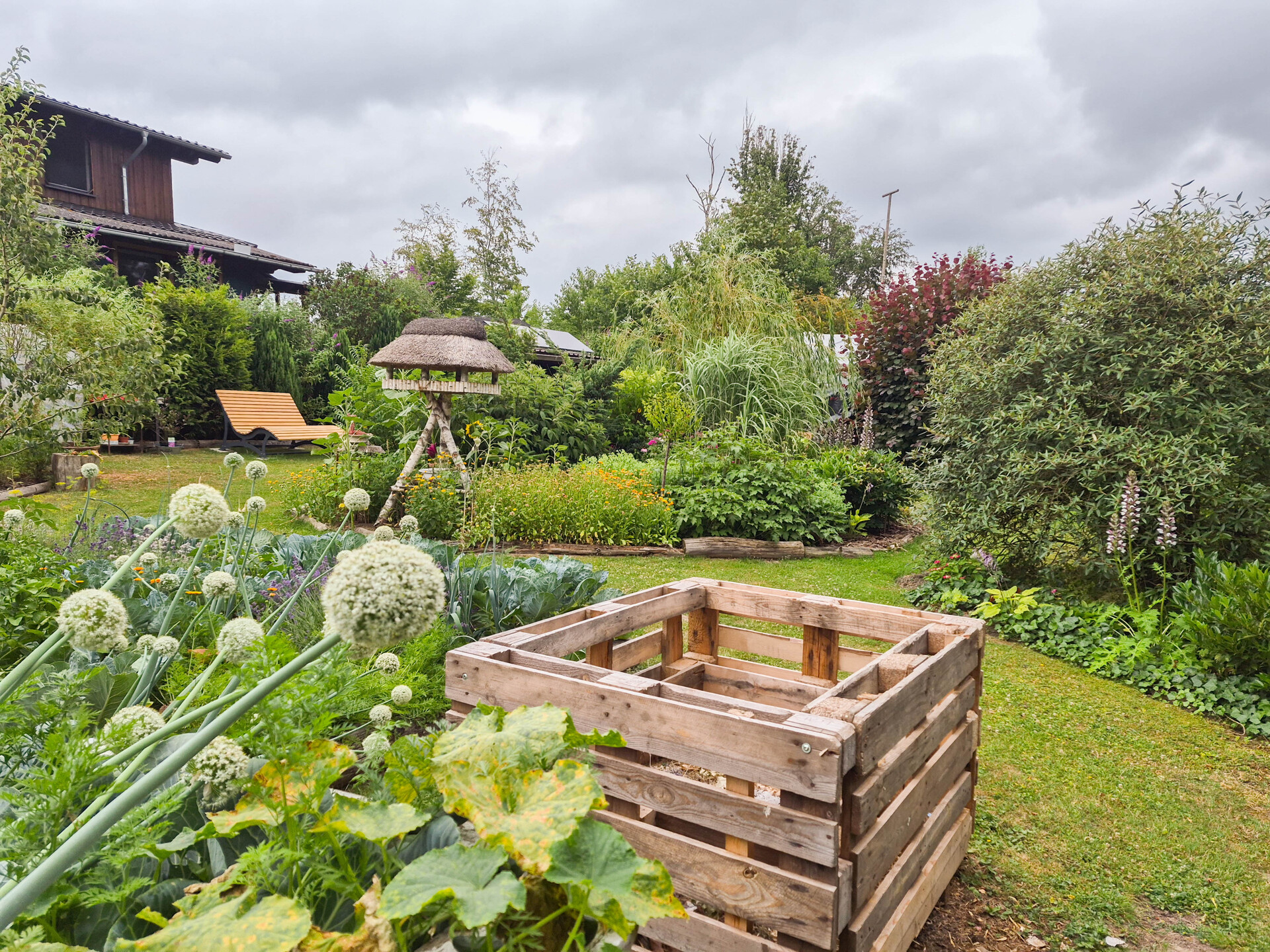 Blick in den Garten