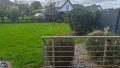 Blick in den Garten