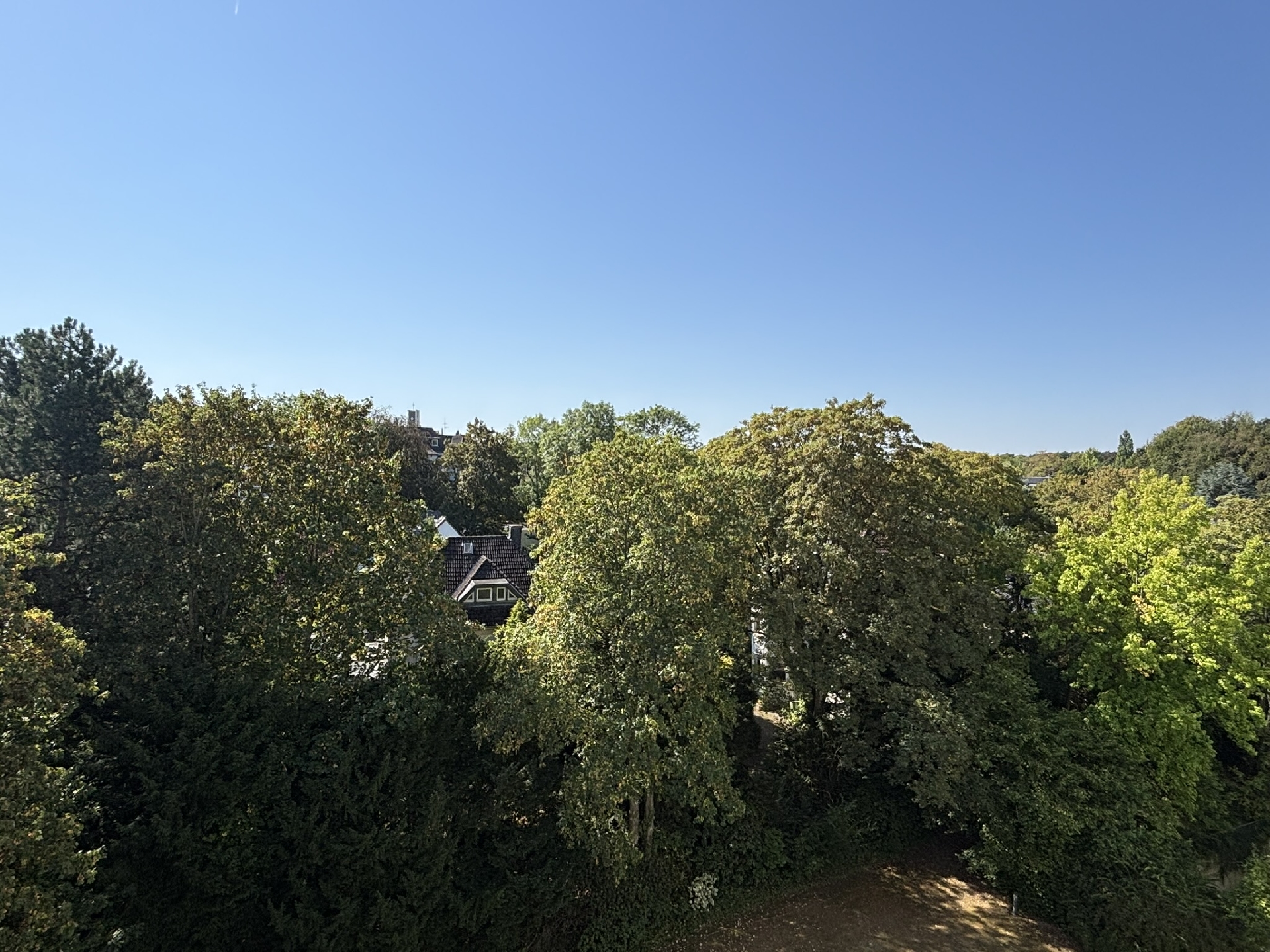 Ausblick