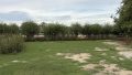 ... und ein Reitplatz