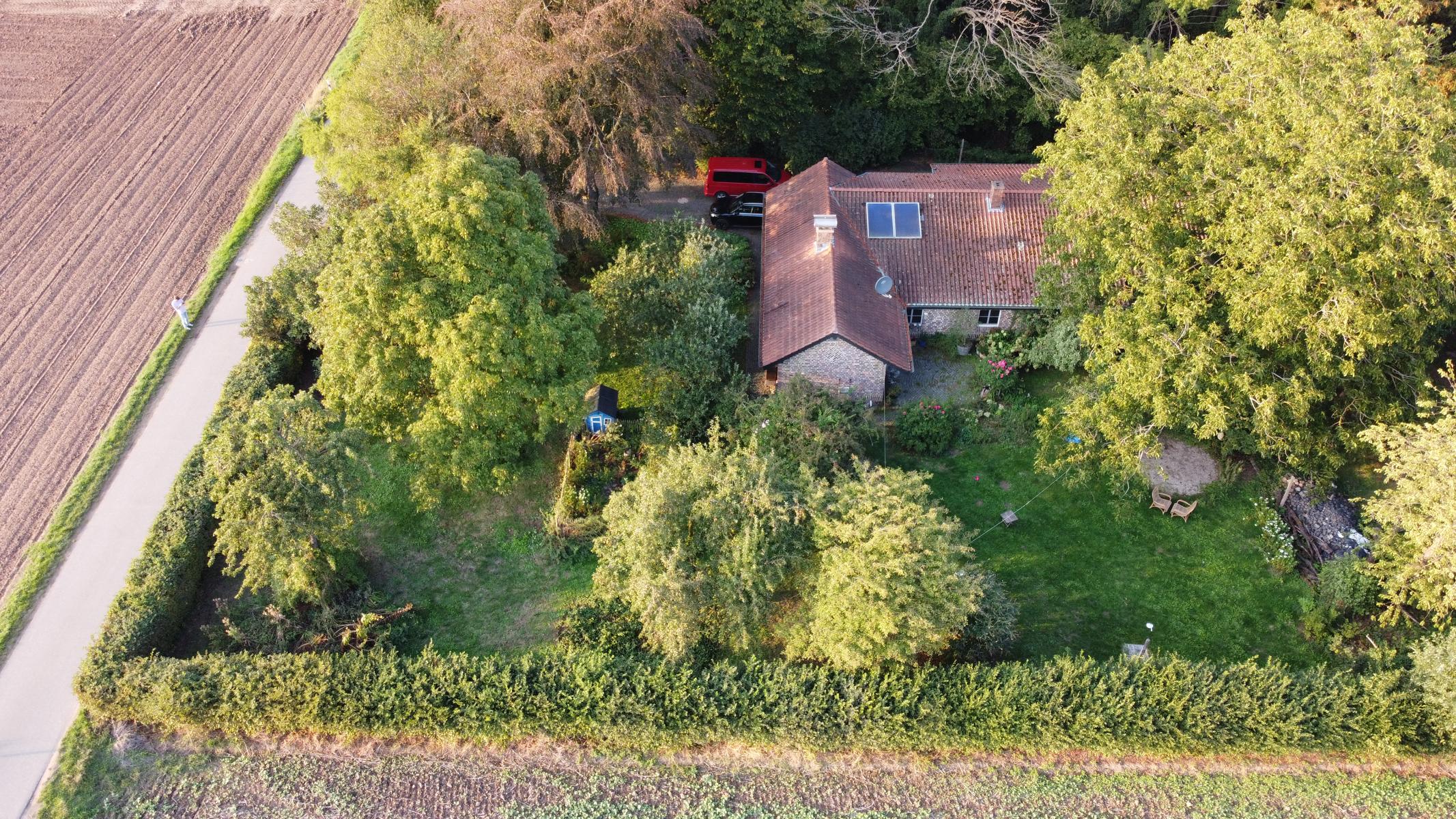 Blick auf Haus und Garten