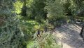 Blick auf Garten und Terrasse