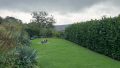 Garten - 1. Ebene