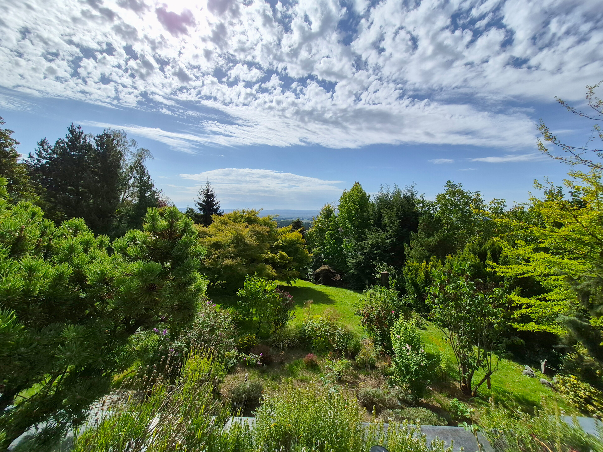 Blick in den Garten