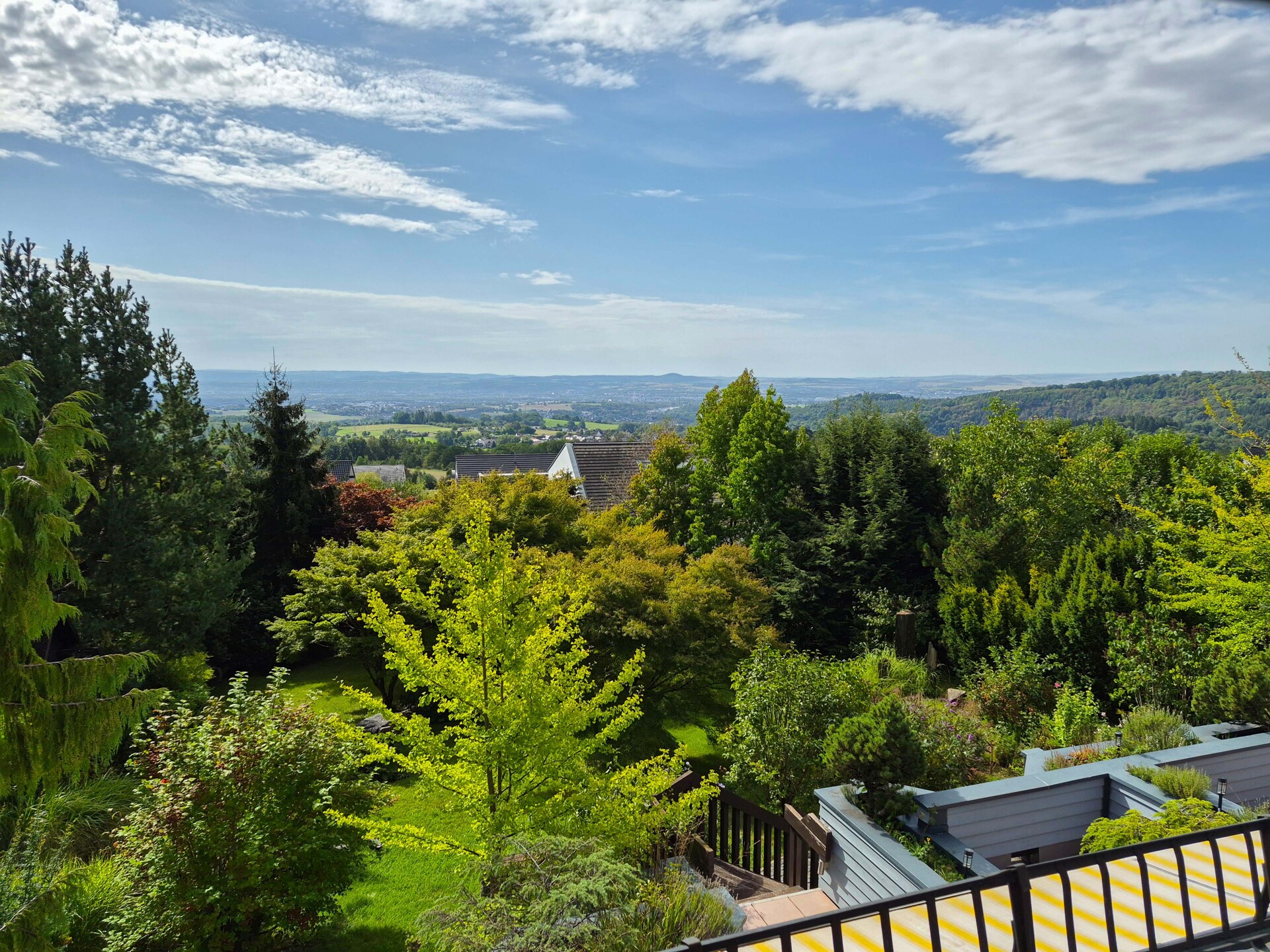 Fernblick