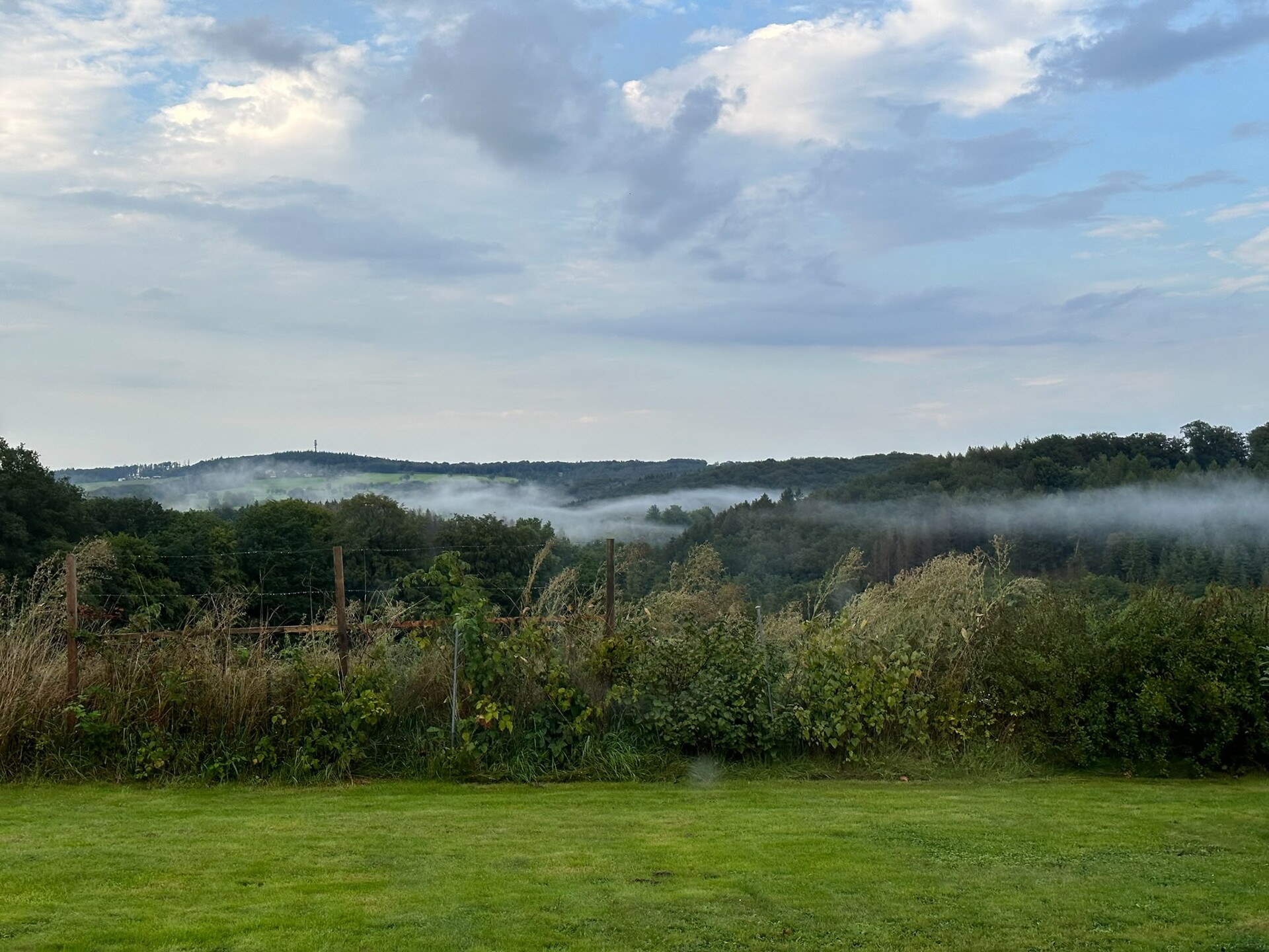 Aussicht Nebel
