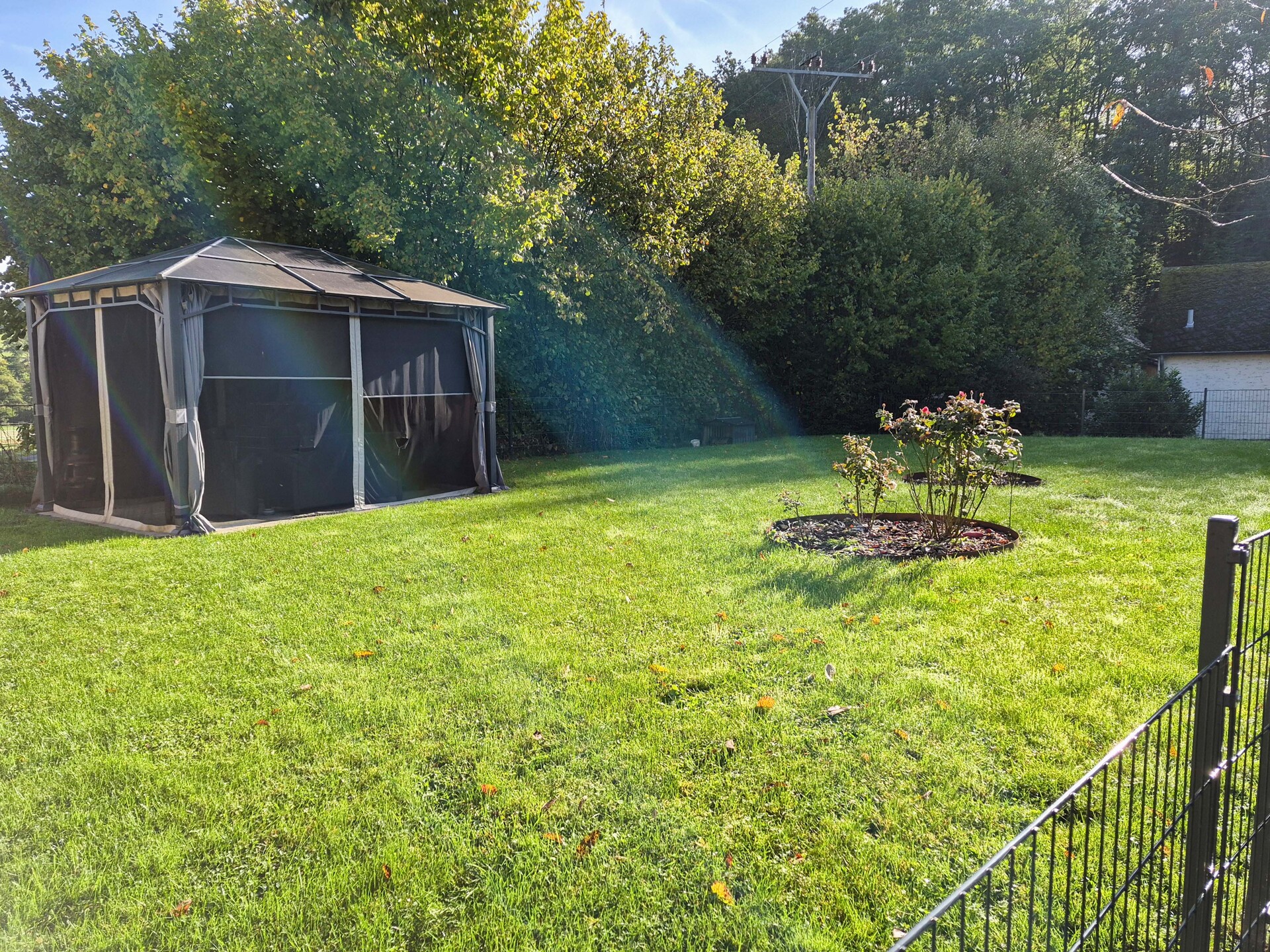 Blick in den Garten